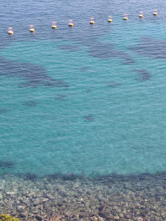 Capraia Per Te 외부 사진